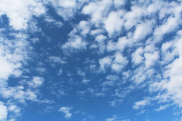 秋の空