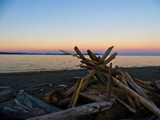 Fototapeta premium Driftwood on Island View Beach, Vancouver Island BC