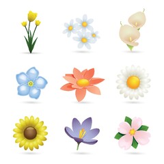 set of flower icons