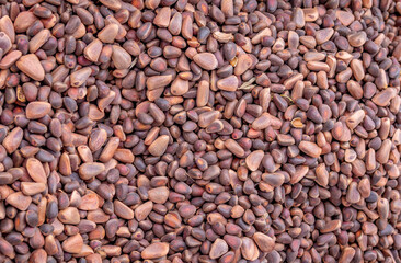 Solid background of fresh ripe and natural cedar seeds