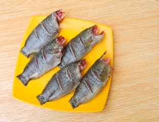 Climbing perch is a fresh water fish native to Asia. It can crawl without water from one place to another. It is known as Koi or Kawoi fish in local language in India. It is very tasty and has demand.