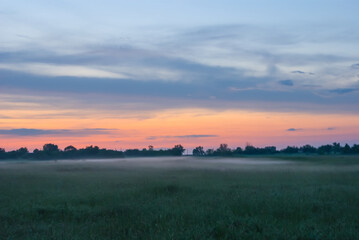 rural field in a mist at the twilight
