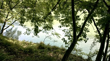 Fototapeta premium Kyoto Arashiyama, a wooded area near the Katsura River on May 30, 2020.