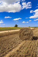 Blue and Cloudy Sky, Straw Bale in agriculture field Thrace Turkey Europe