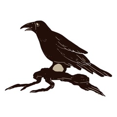 crow