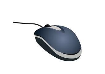 computer mouse