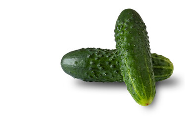 Two fresh cucumbers on a white background