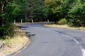 D64 country road turn in Fontainebleau forest