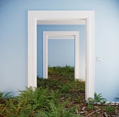 Waldboden im Zimmer i © Victor zastol'skiy
