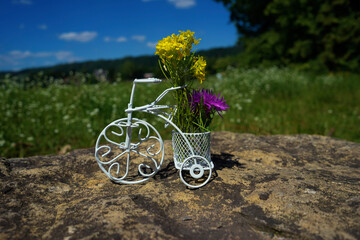 Kleines Fahrrad mit Blumen in der Natur.