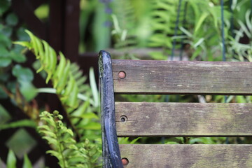 庭のレトロなベンチの背もたれ
Backrest of a bench in the garden.