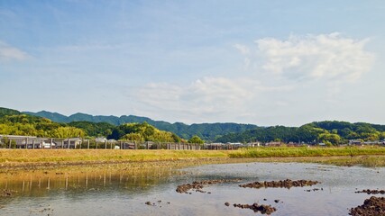 A rice field filled with water for agriculture in early summer in Nara, Japan, June 2, 2020.