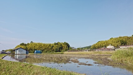 Fototapeta na wymiar A rice field filled with water for agriculture in early summer in Nara, Japan