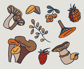 vector elemnets mushrooms berries autumn