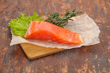 Piece of raw salmon