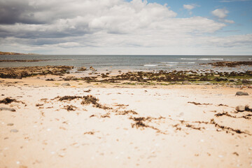 beach in Northumberland