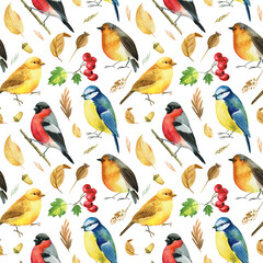 Seamless pattern. Bullfinches, titmice, canaries, robin birds. Autumn leaves and herbs watercolor, isolated background