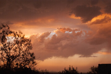 
Summer sky background on sunset 