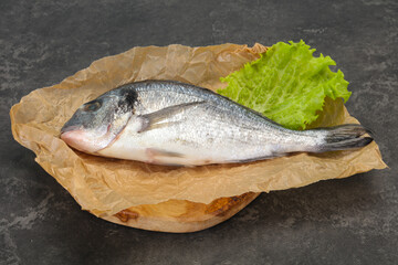 Raw Dorada fish  for cooking