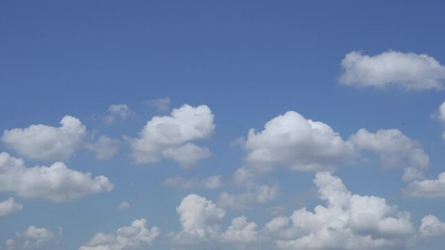 White Cumulus Clouds Float Across The Sky On A Clear Sunny Day. Cloudiness. good weather. Clouds and Sky.