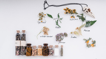Witch's set of herbs