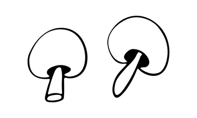 Vector doodle illustration of champignon mushrooms. Hand drawn healthy farm vegetable isolated on white background. Organic veggie grown in the garden.