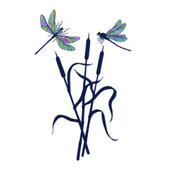 A reed plant and two dragonflies above it. Vector stock illustration eps10