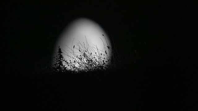 Luna notte in 4K