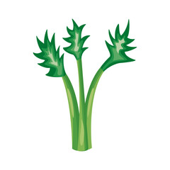 celery healthy vegetable detailed style icon