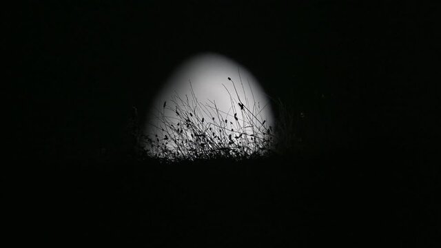 Luna notte in 4K