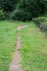 Walkway in the park on a mowed lawn, trimmed bushes