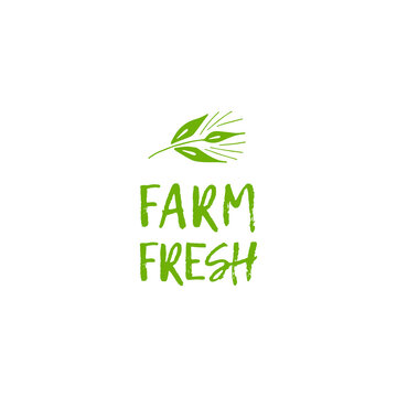 Raster green logo Farm Fresh design template. Emblem for natural farm, organic products. On white background.