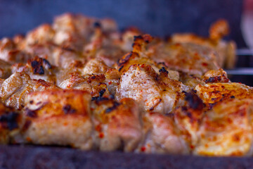 beautiful meat KEBAB in NATURE