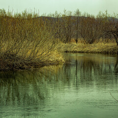 beautiful river Bank in the forest