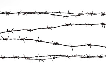 Rusty barbed wire splits on a white background. - obrazy, fototapety, plakaty