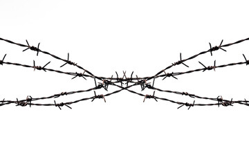 Rusty barbed wire splits on a white background.