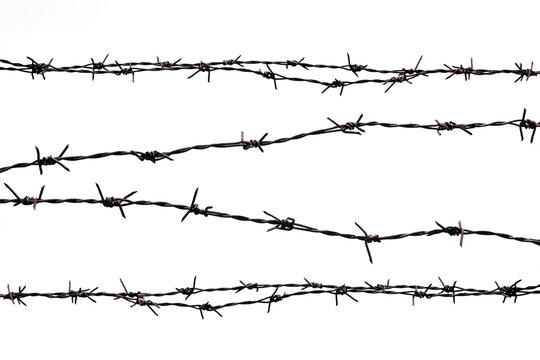Rusty barbed wire splits on a white background.