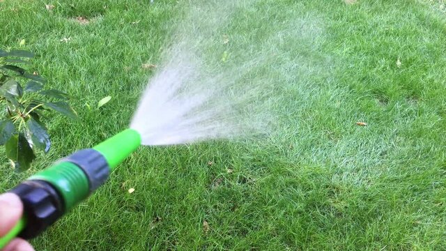 Watering green grass lawn with spray gun in summer garden with a sprinkler - 4k
