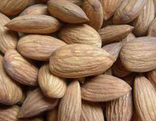 Brown color raw whole Almond seed