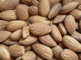 Brown color raw whole Almond seed
