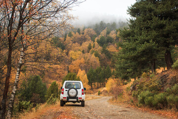 Car on forest trail, back view. Adventure outdoors in autumn landscape scenery. Off road 4x4...