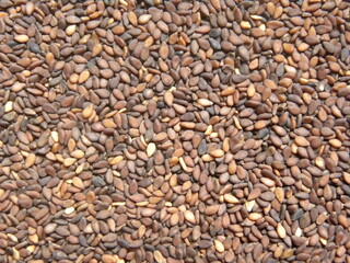 Brown color raw whole dried Sesame seeds