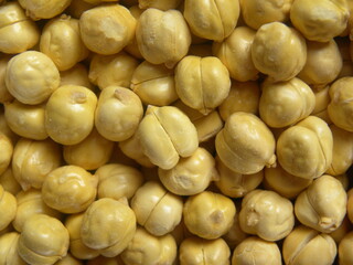 Yellow color whole roasted Chickpeas without skin