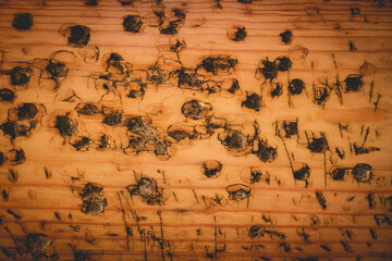Workbench texture