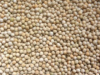 Beige and white color raw whole dried peas
