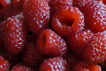 close up of fresh raspberries