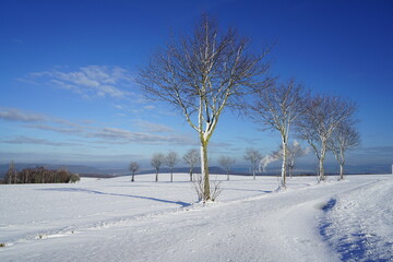 Winter mit Schnee und Eis in einer Landschaft mit Bäumen
