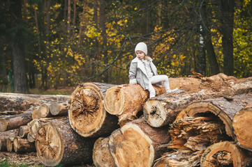 A little girl sits on stack of logs, dressed in warm clothes and a white hat in a yellow autumn...