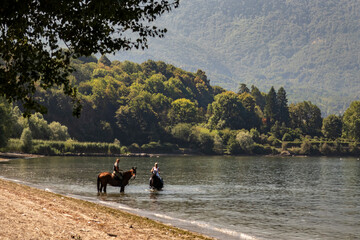 Obraz na płótnie Canvas Horses along the lake
