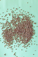 buckwheat grains. legumes. dry legumes. shooting of buckwheat macro. detailed legumes